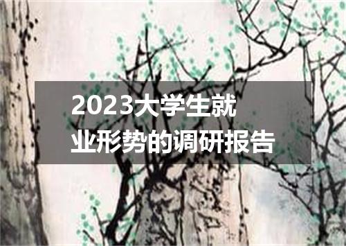 2023大学生就业形势的调研报告