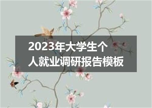 2023年大学生个人就业调研报告模板