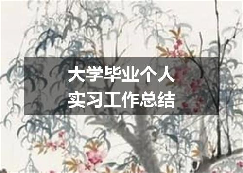 大学毕业个人实习工作总结