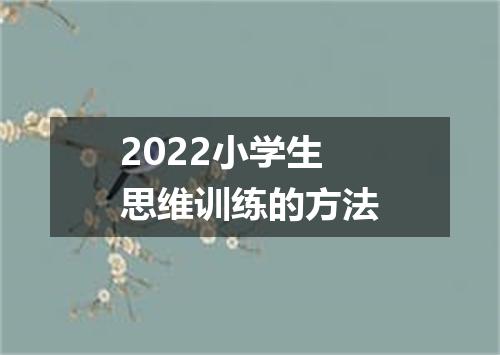 2022小学生思维训练的方法