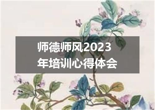 师德师风2023年培训心得体会
