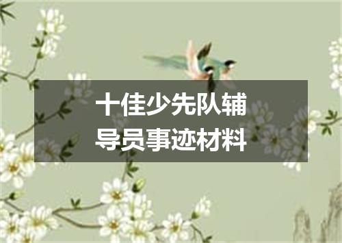 十佳少先队辅导员事迹材料