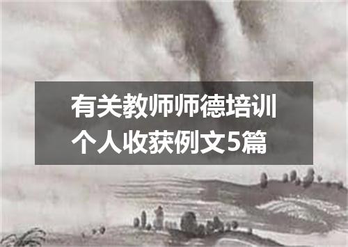 有关教师师德培训个人收获例文5篇