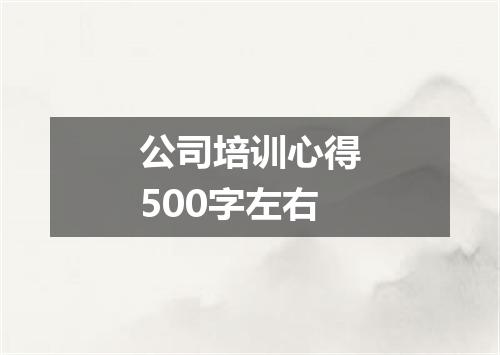 公司培训心得500字左右