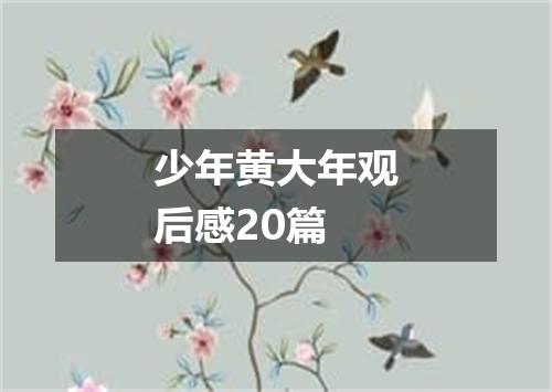 少年黄大年观后感20篇