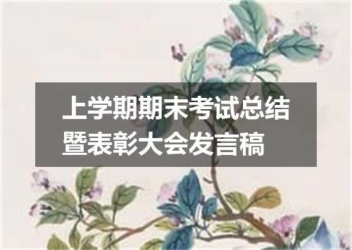 上学期期末考试总结暨表彰大会发言稿