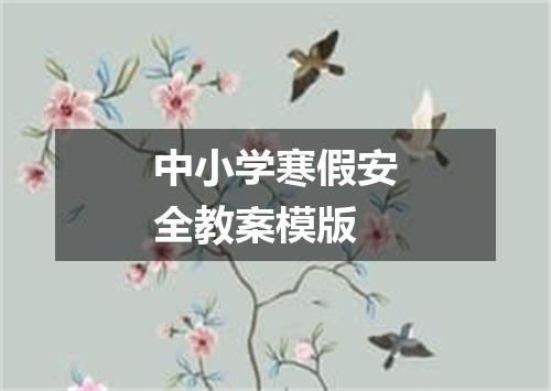中小学寒假安全教案模版