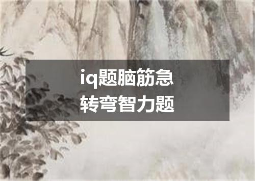 iq题脑筋急转弯智力题