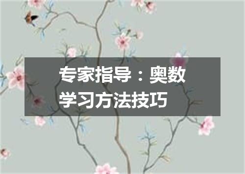 专家指导:奥数学习方法技巧