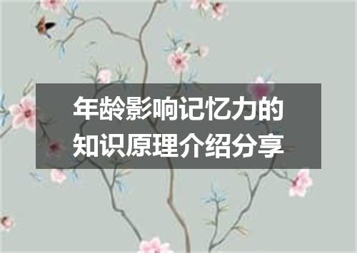 年龄影响记忆力的知识原理介绍分享