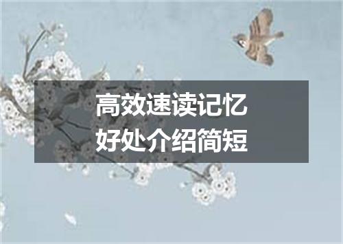 高效速读记忆好处介绍简短