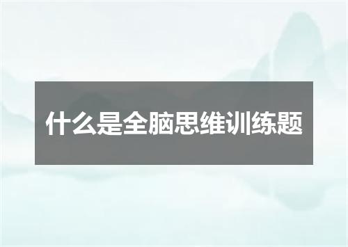 什么是全脑思维训练题