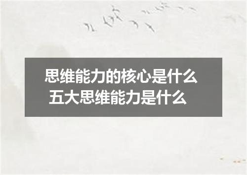 思维能力的核心是什么  五大思维能力是什么
