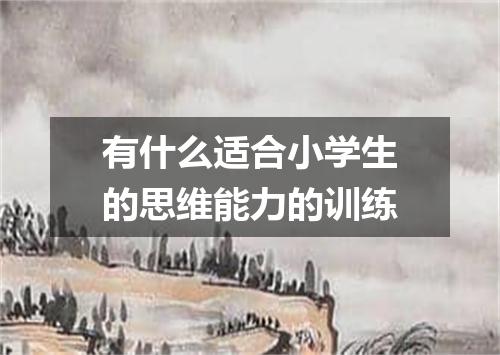 有什么适合小学生的思维能力的训练