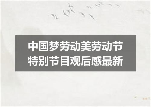 中国梦劳动美劳动节特别节目观后感最新