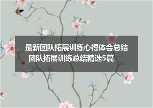 最新团队拓展训练心得体会总结_团队拓展训练总结精选5篇