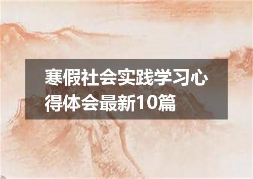 寒假社会实践学习心得体会最新10篇