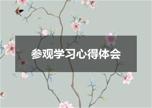 参观学习心得体会