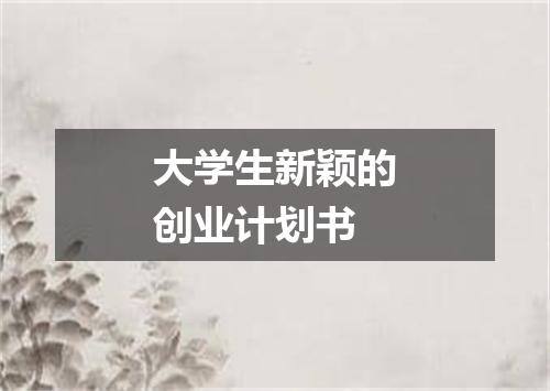 大学生新颖的创业计划书