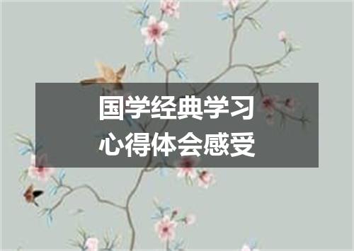 国学经典学习心得体会感受