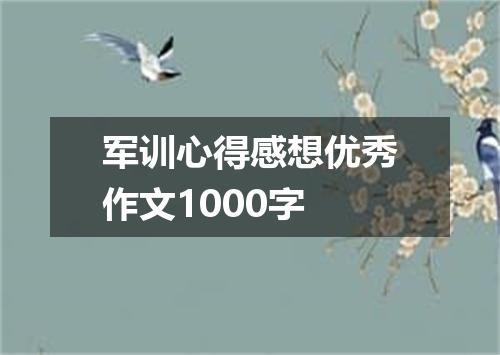 军训心得感想优秀作文1000字