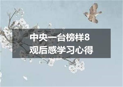 中央一台榜样8观后感学习心得