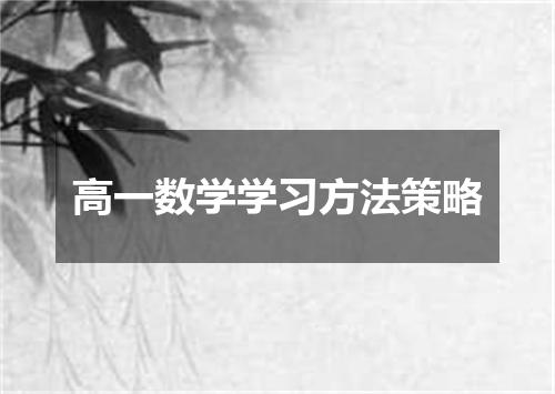 高一数学学习方法策略