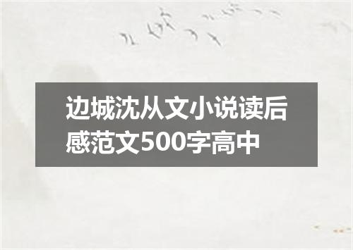 边城沈从文小说读后感范文500字高中