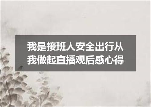 我是接班人安全出行从我做起直播观后感心得