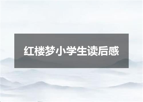 红楼梦小学生读后感
