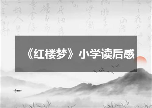 《红楼梦》小学读后感