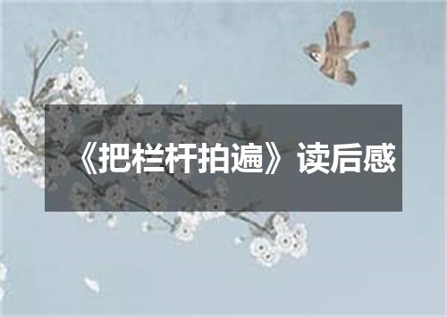 《把栏杆拍遍》读后感