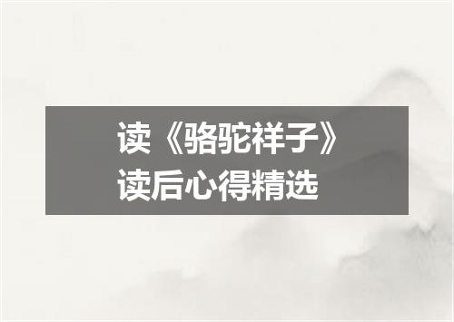 读《骆驼祥子》读后心得精选