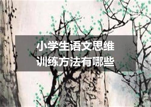 小学生语文思维训练方法有哪些
