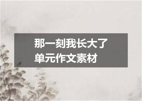 那一刻我长大了单元作文素材