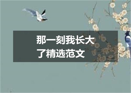 那一刻我长大了精选范文