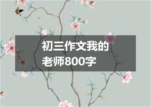 初三作文我的老师800字