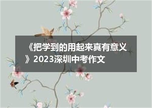《把学到的用起来真有意义》2023深圳中考作文