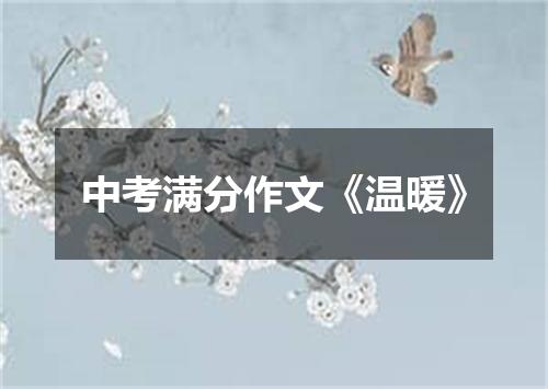 中考满分作文《温暖》