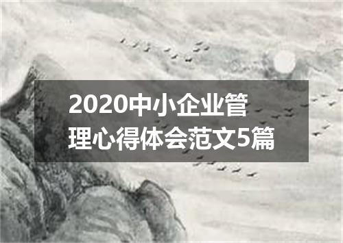 2020中小企业管理心得体会范文5篇