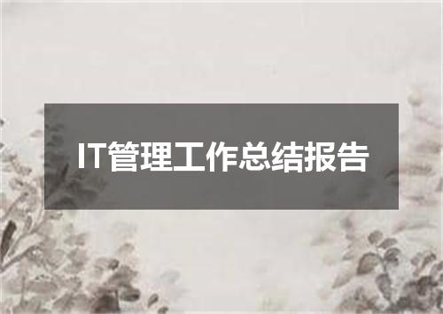 IT管理工作总结报告