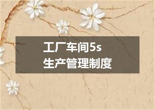 工厂车间5s生产管理制度