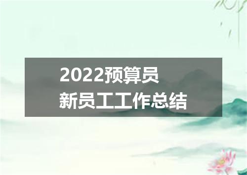 2022预算员新员工工作总结