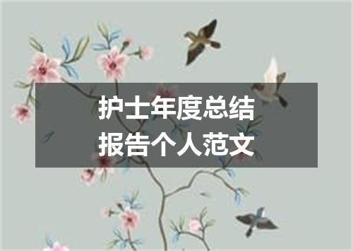 护士年度总结报告个人范文