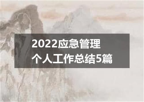 2022应急管理个人工作总结5篇