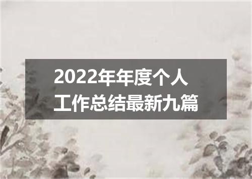 2022年年度个人工作总结最新九篇