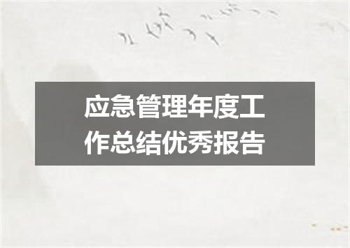 应急管理年度工作总结优秀报告