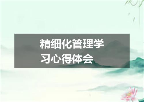 精细化管理学习心得体会