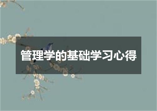管理学的基础学习心得