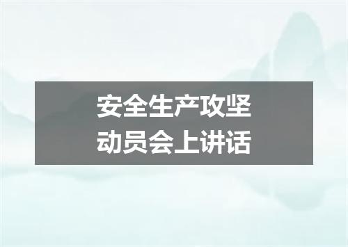 安全生产攻坚动员会上讲话